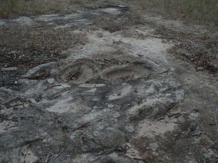 Theodore grinding grooves