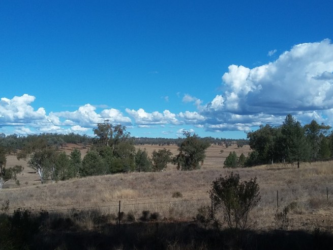myall creek scene (2)