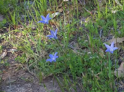 20181007_165037 - Copy (2)