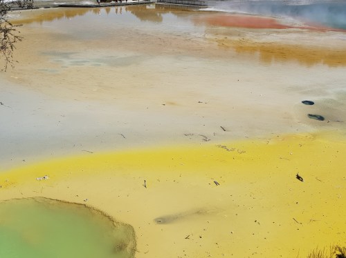 artists palette cropped